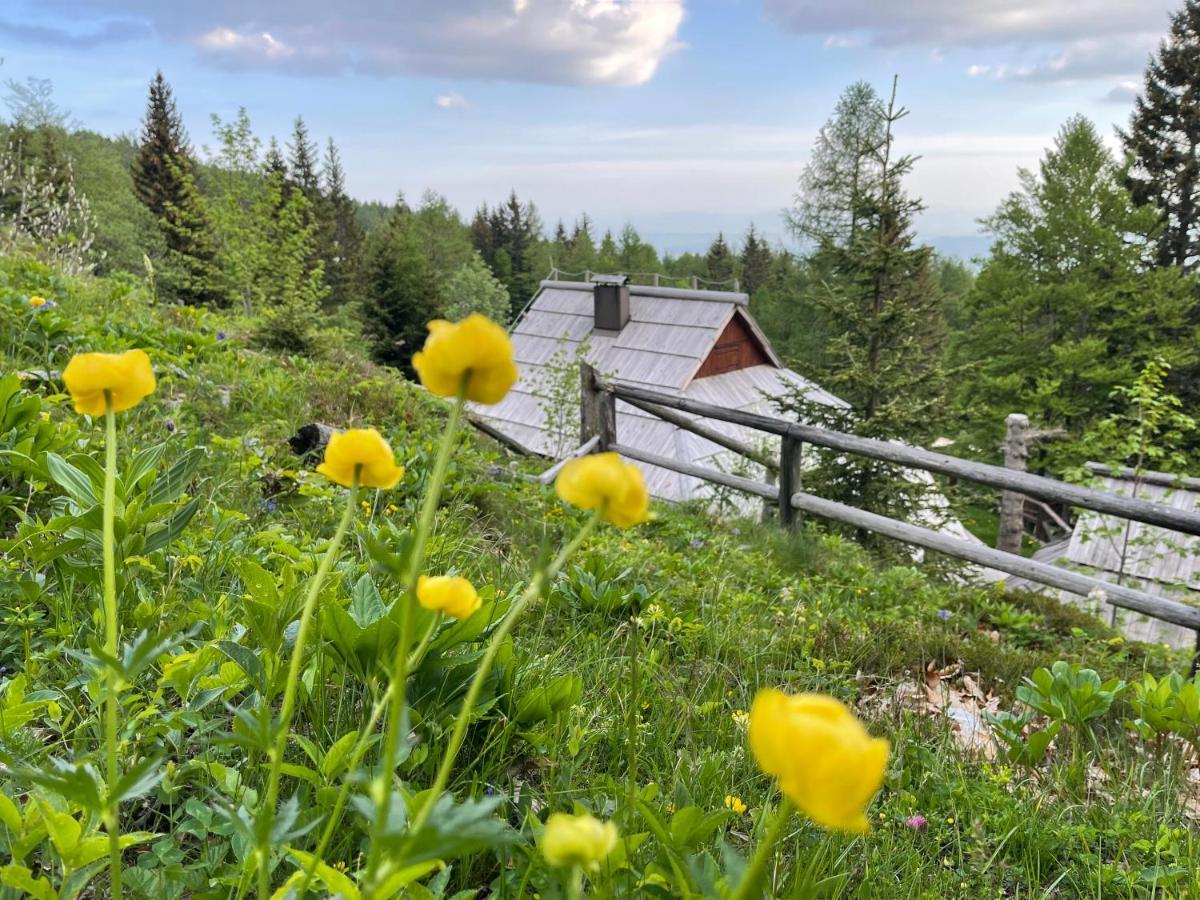 Velika Planina Chalet Slovenka Stahovica Extérieur photo